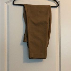 Tan Express Editor Pant